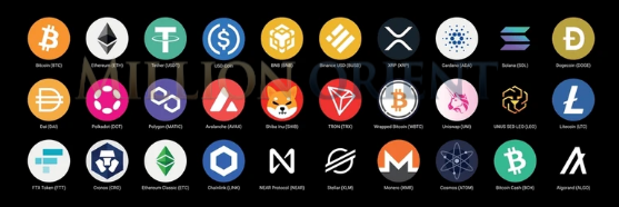 Supported Cryptocurrencies Banner